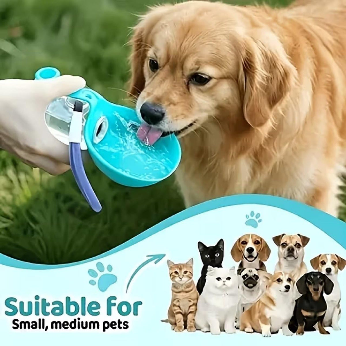Portable Dog Water Bottle with Bowl